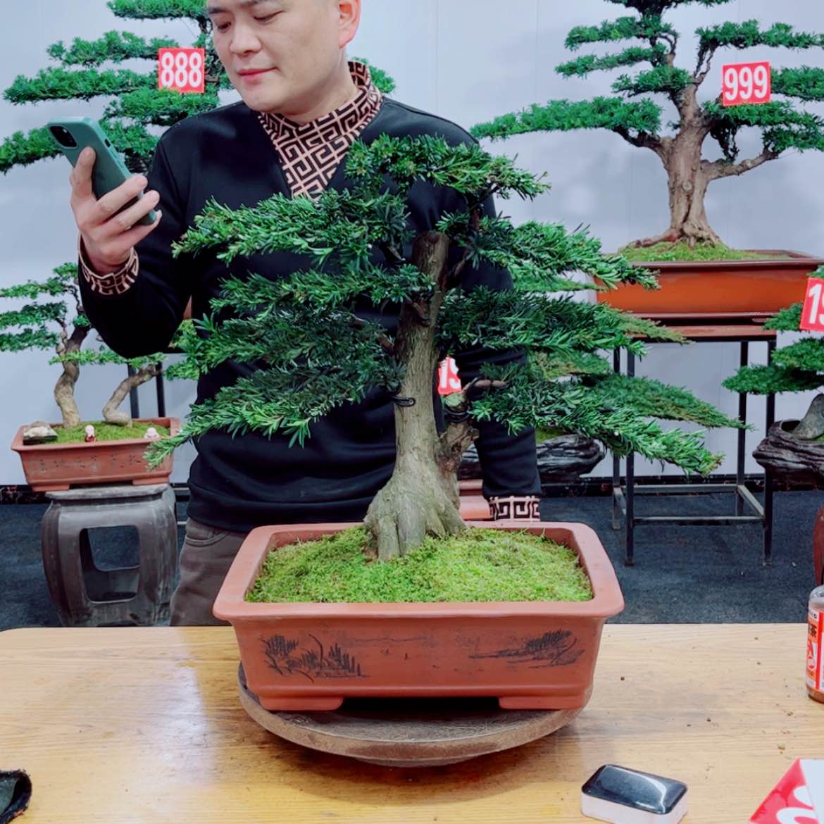 【闪购商品】盆景艺术
