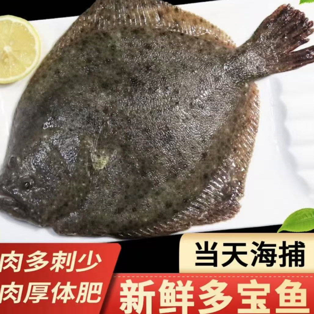 【超大号多宝鱼】新鲜多宝鱼全程冷链顺丰发货每条9两左右