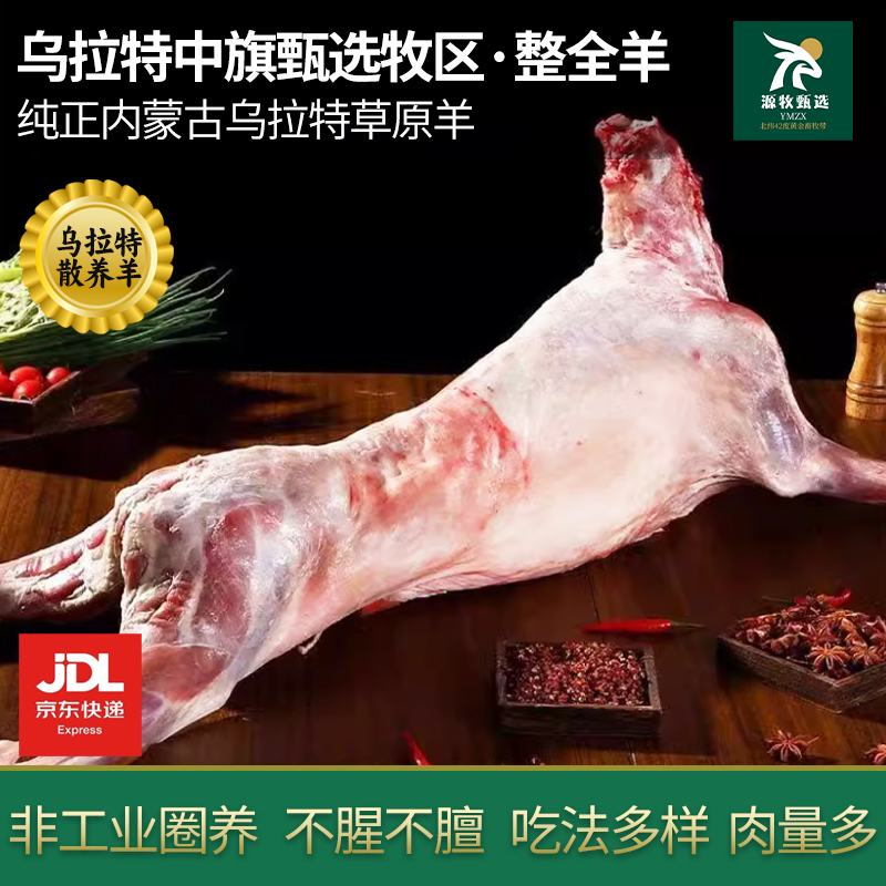 预定整只牧区羊今天拍明天宰.此订单不支持退款