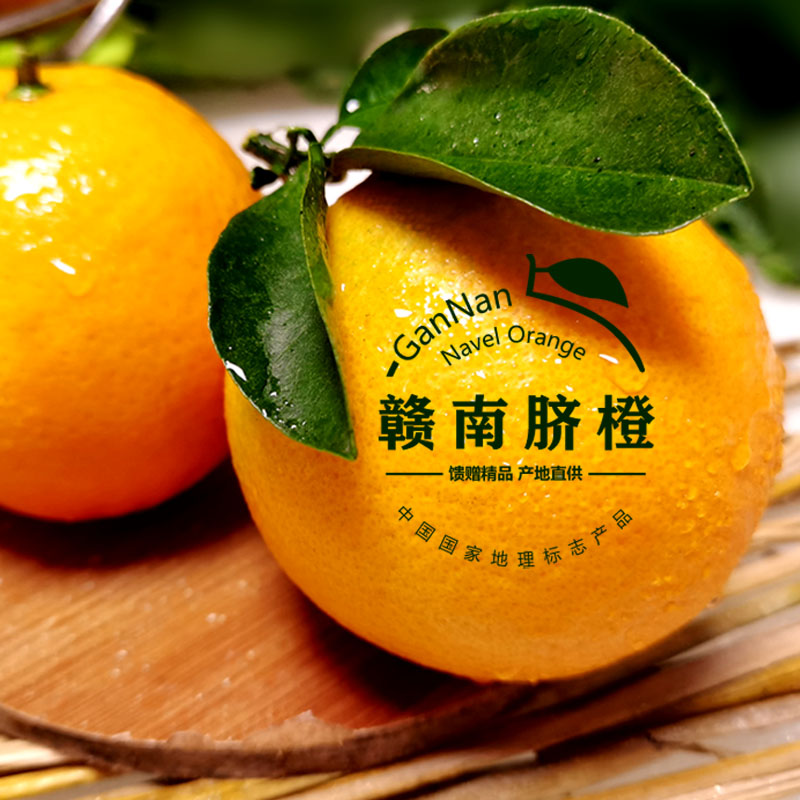 【江西明明专属】赣南脐橙新鲜水果包邮坏果包赔[正宗-原产地]