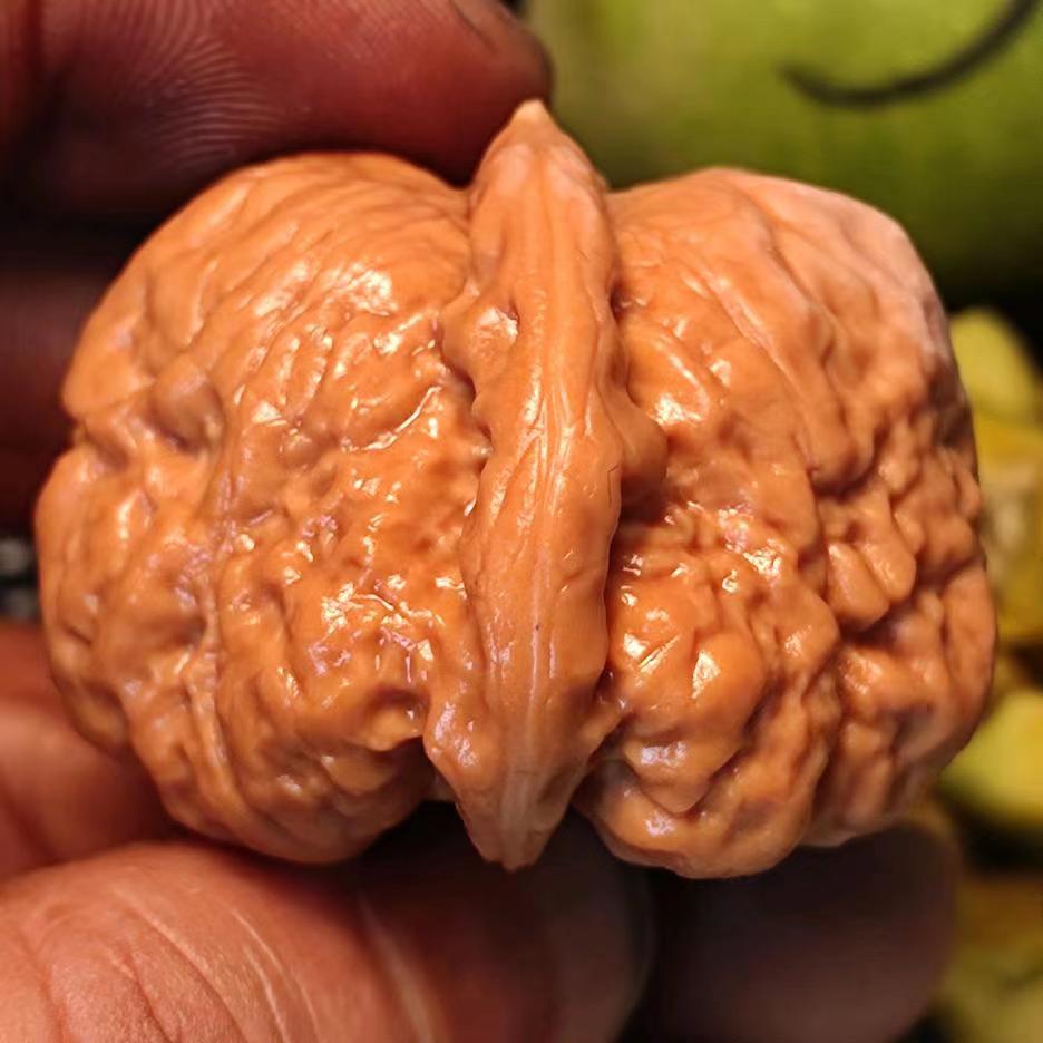 文玩核桃直播链接