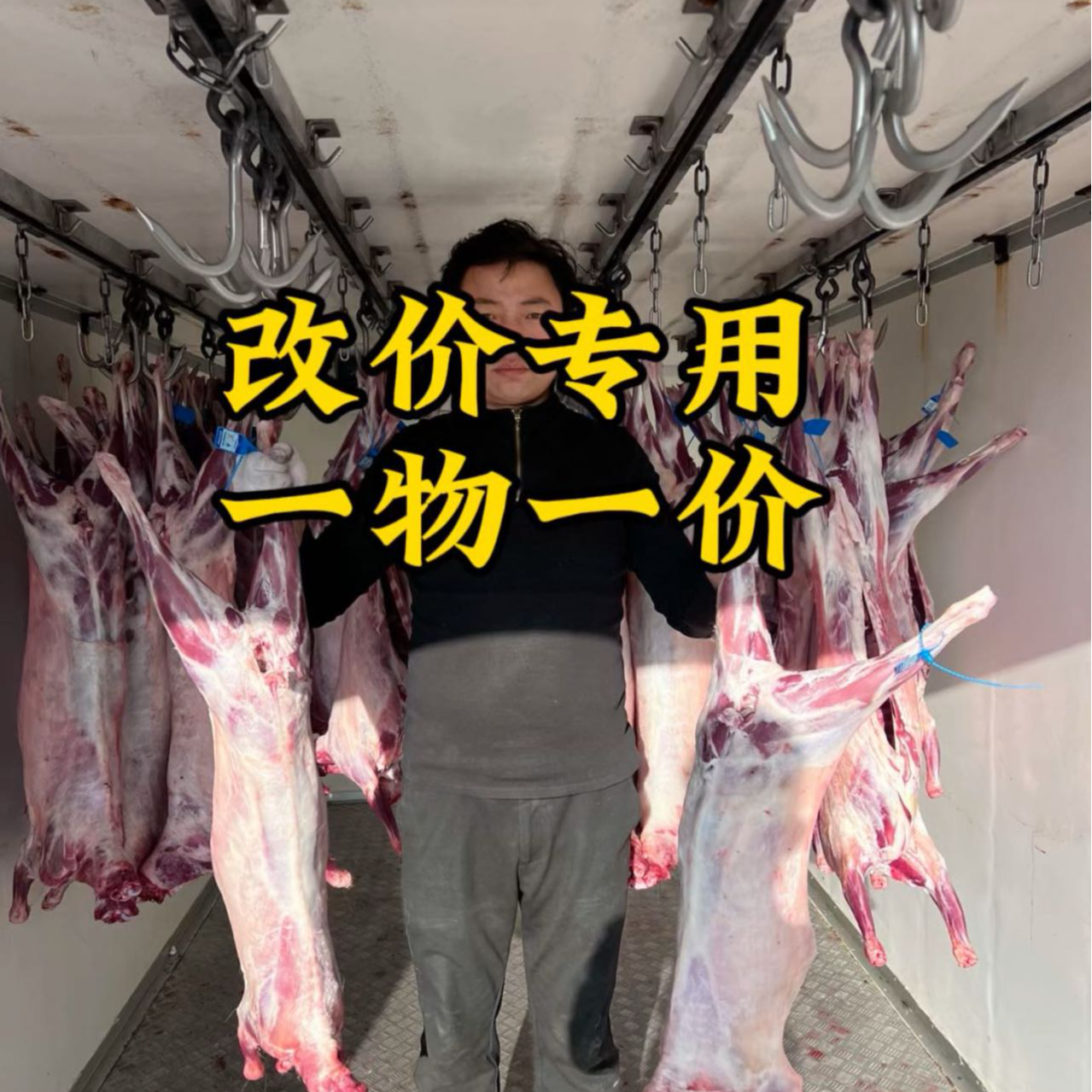 新疆本地草膘羊肉