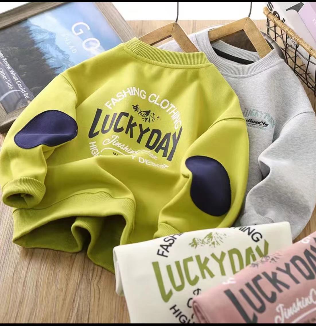 【秋款上新】ZS2301童装洋气时髦刺绣休闲男女百搭中大童长袖卫衣