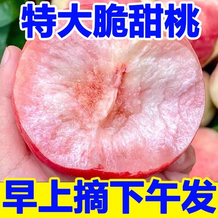 【周周专属】山西脆桃蜜桃新鲜现采现摘包邮好吃原厂地直发猴子爱吃