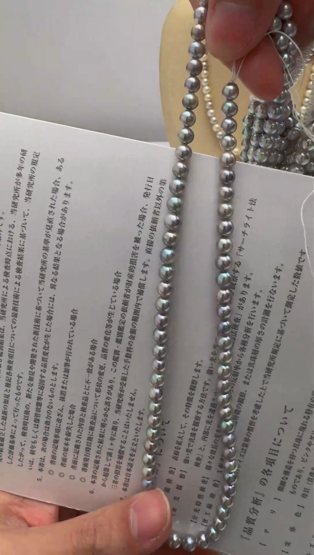 【闪购商品】海水珍珠项链银S925镶嵌真多麻项链 发一条