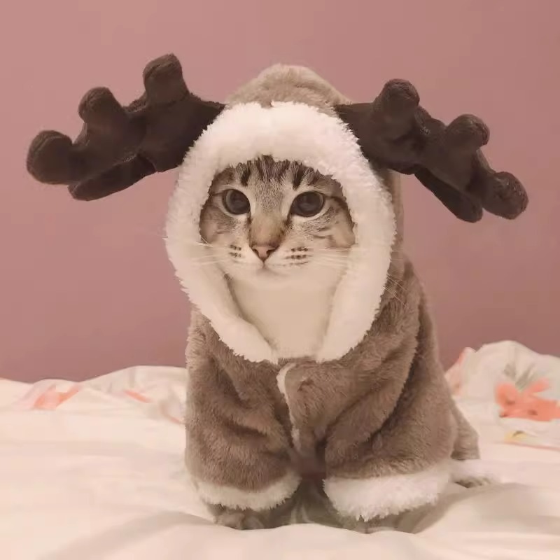 猫咪衣服四脚秋冬装可爱麋鹿防掉毛英短布偶蓝猫小幼猫狗狗圣诞装
