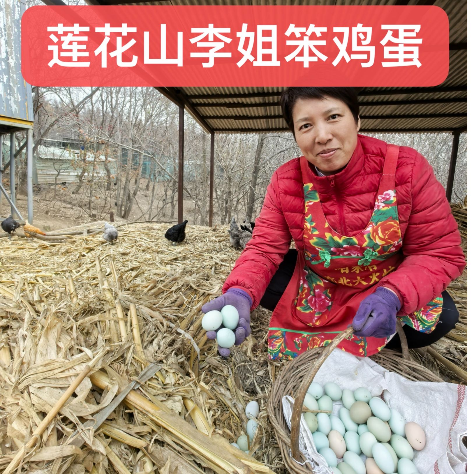 莲花山李姐林下散养土鸡蛋100枚