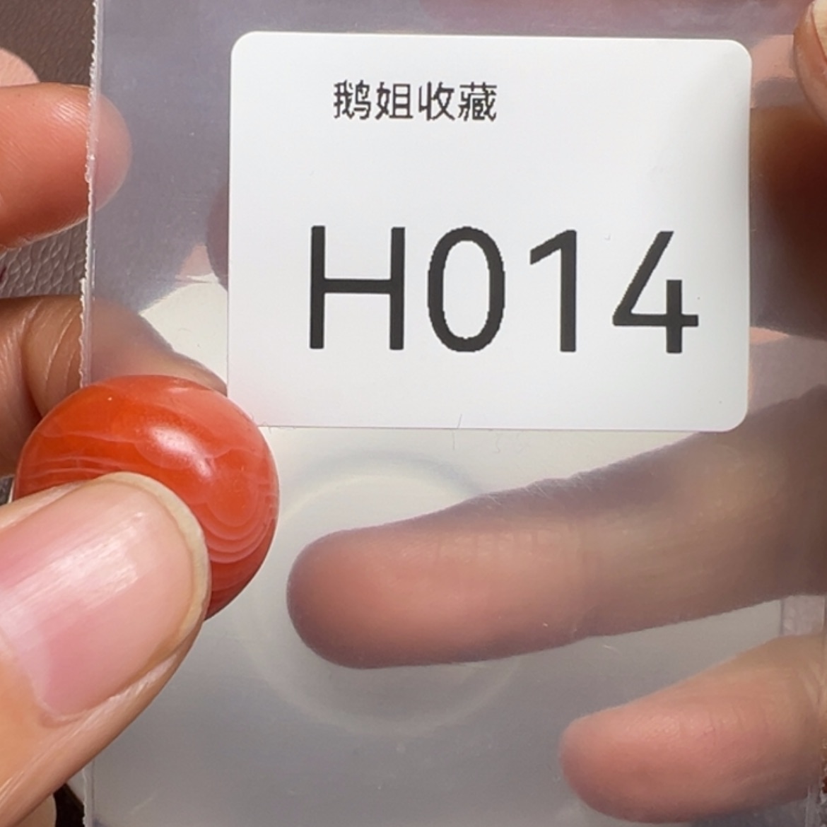 【闪购商品】瓷器盘子