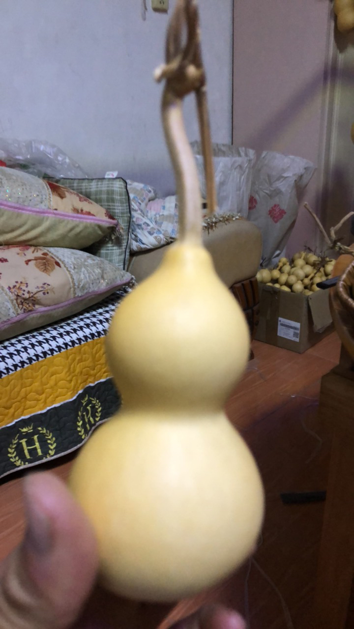 精品葫芦直播间链接