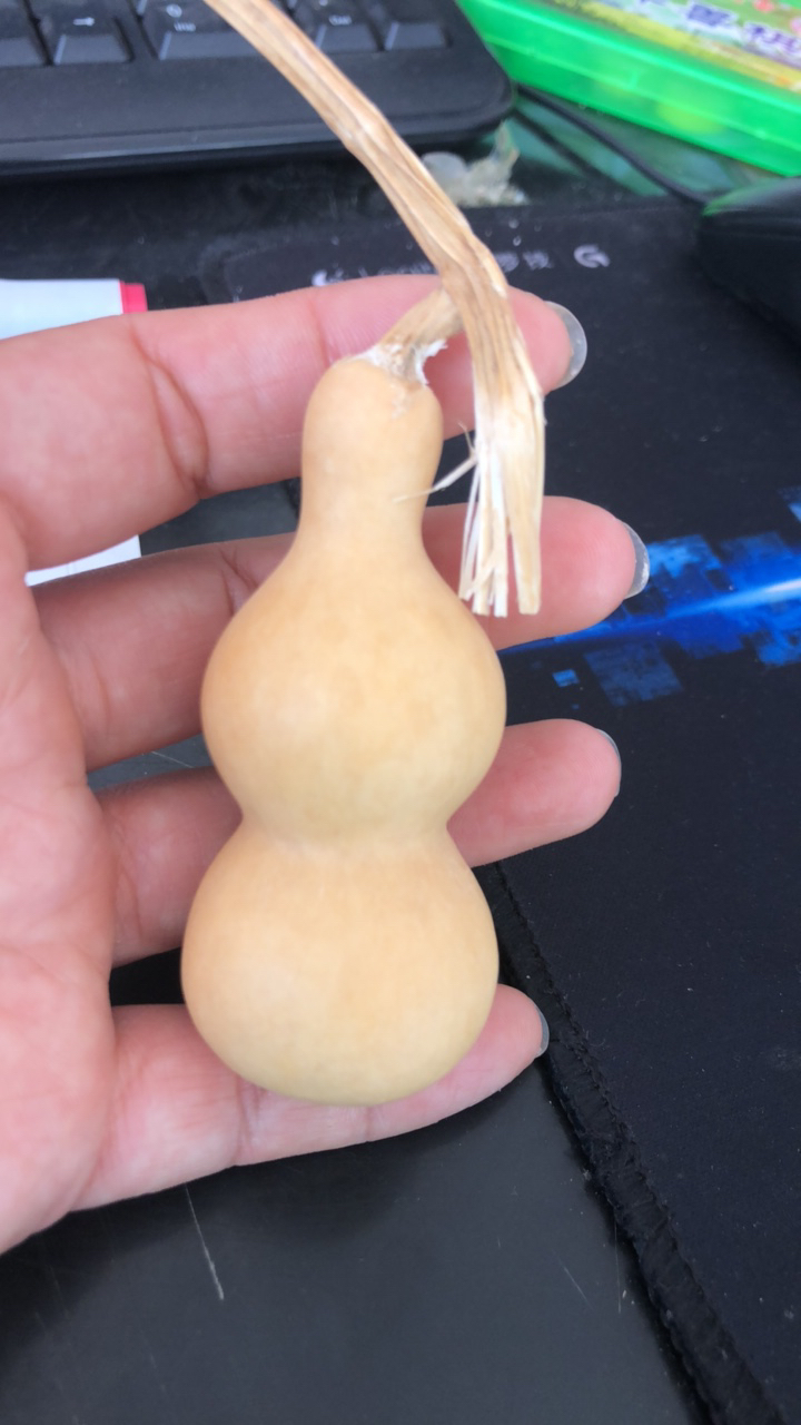 精品葫芦直播间链接