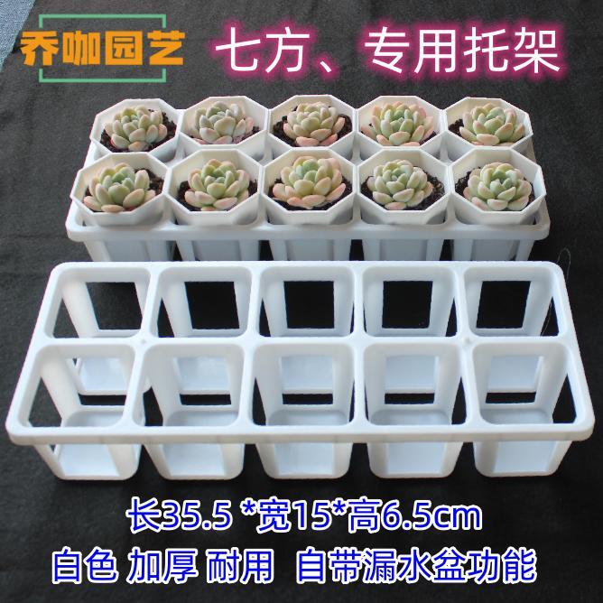 白色七方托架 多肉圆盆托架塑料托架育苗托架24孔格托架美观简约