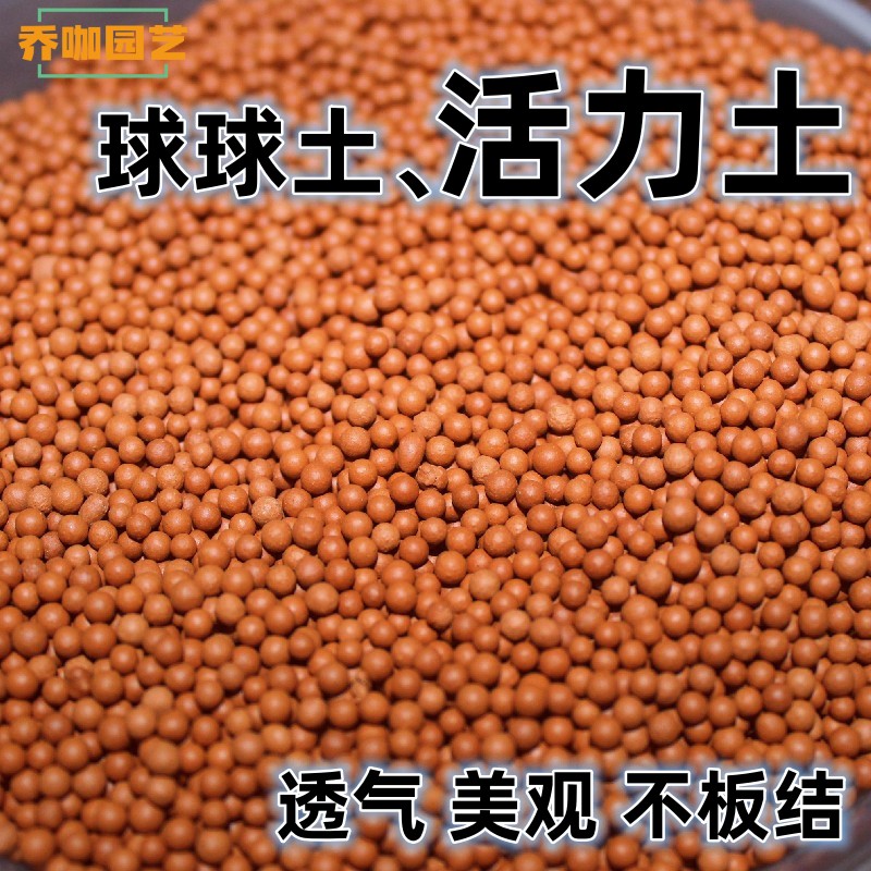 粉丝专享多元土 纯颗粒 活力土多肉植物铺面拌土透气营养土