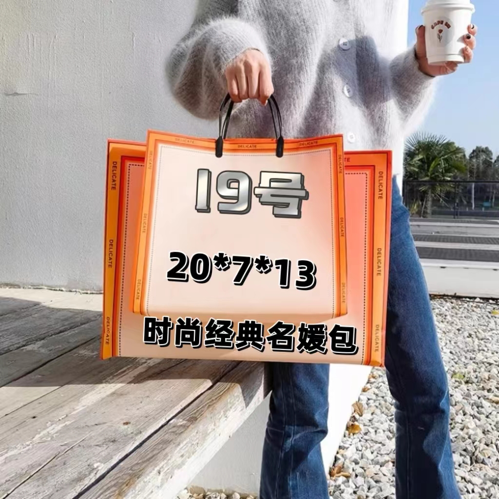 19号（H）经典时尚名媛包10112#