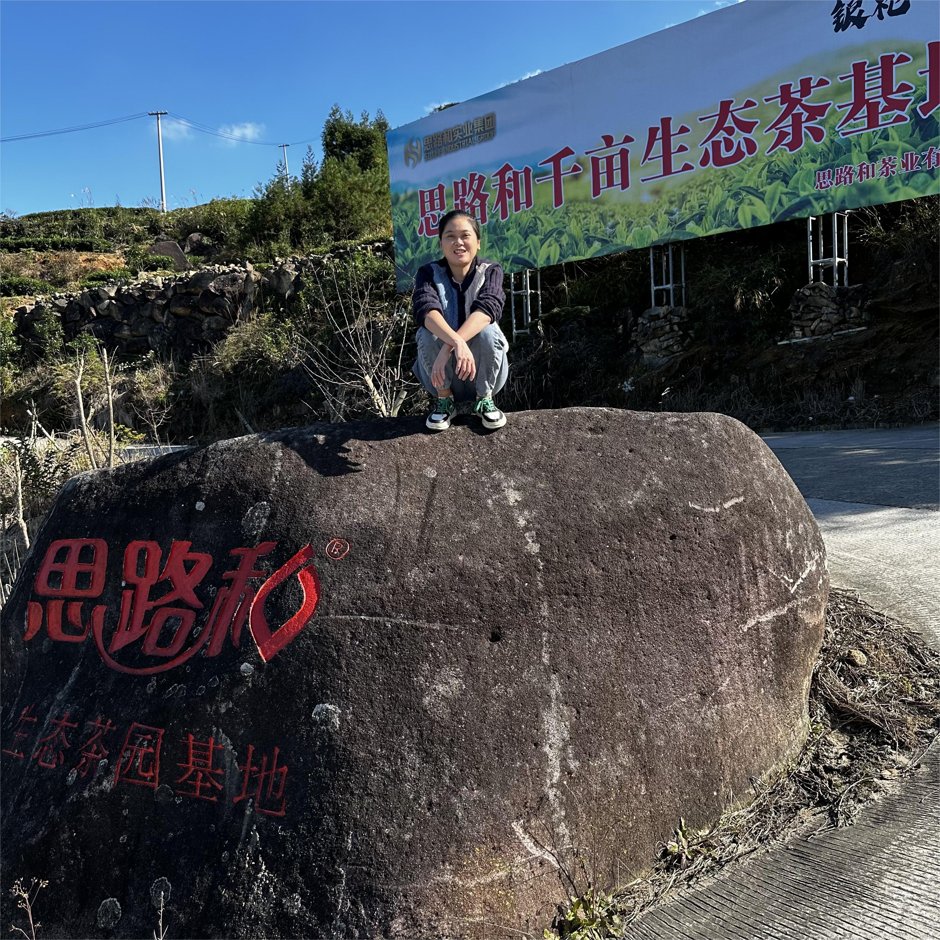 【管阳镇·思路和】和光同尘2022年老树寿眉250g