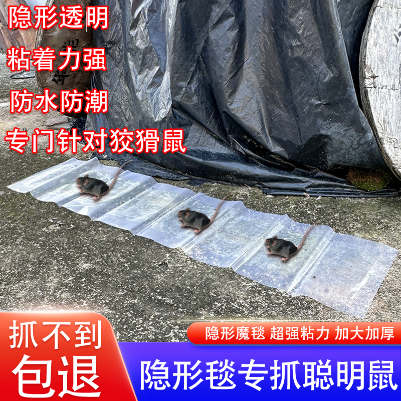 老鼠贴超强力胶粘鼠板捉沾抓大老鼠耗子贴扑捕灭鼠神器家商用克星