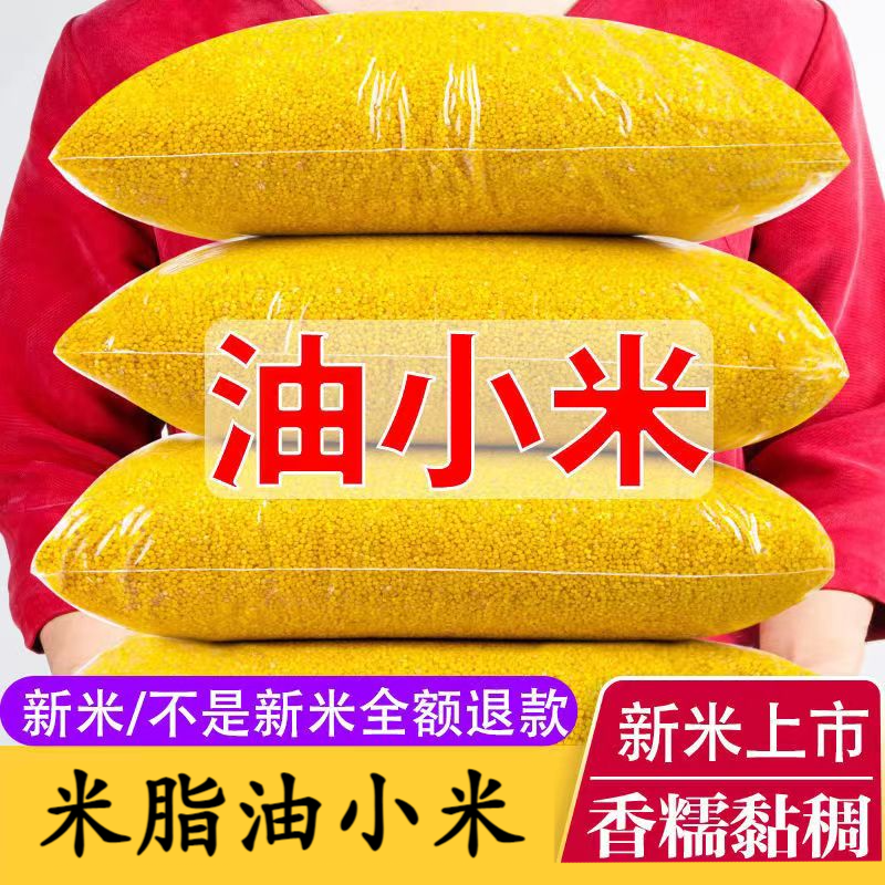 陕北米脂油小米【拍3斤送2斤】黄小米儿到手5斤·当季新米沁州黄