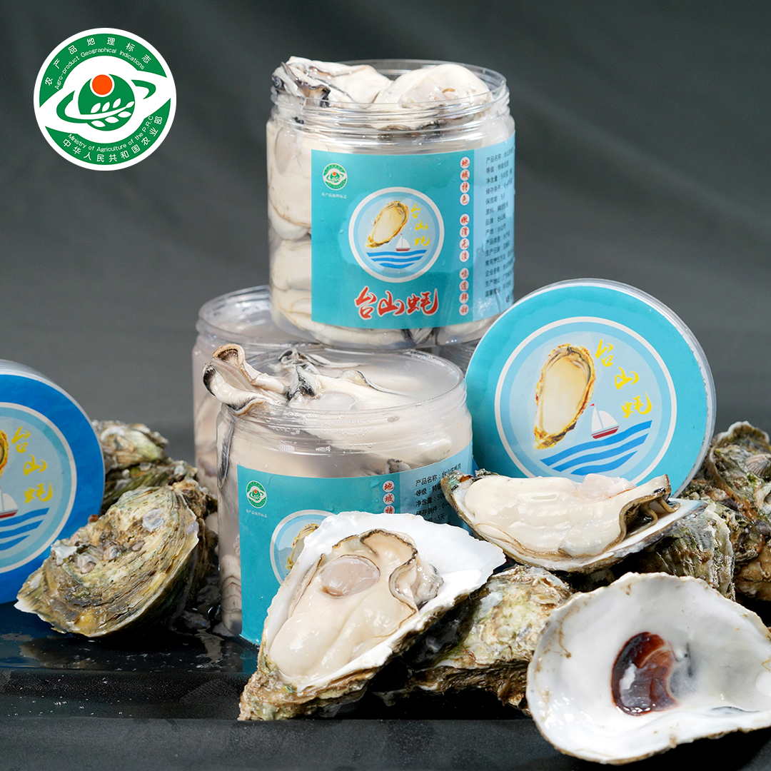 台山生蚝 大蚝肉 500G一罐 拍一发二 顺丰包邮
