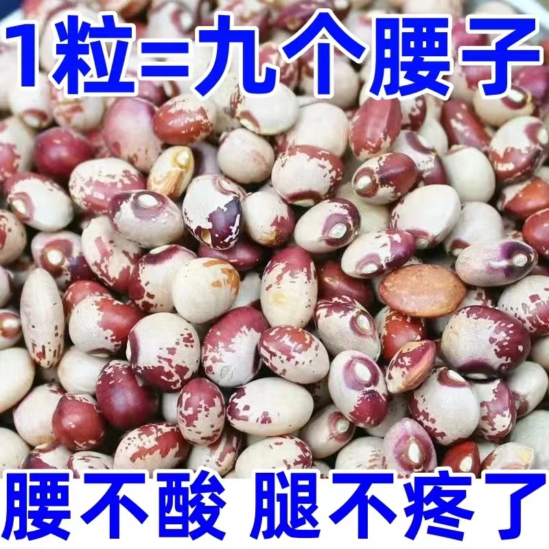 【大降价】熊猫豆新货云南农家新鲜饭豆5斤猫眼豆花豆缸豆杂粮100g