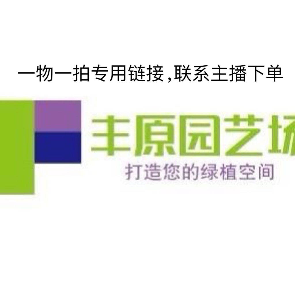 各类物品一物一拍价龙鳞春羽等花开富贵种植耐旱高度喜欢适合