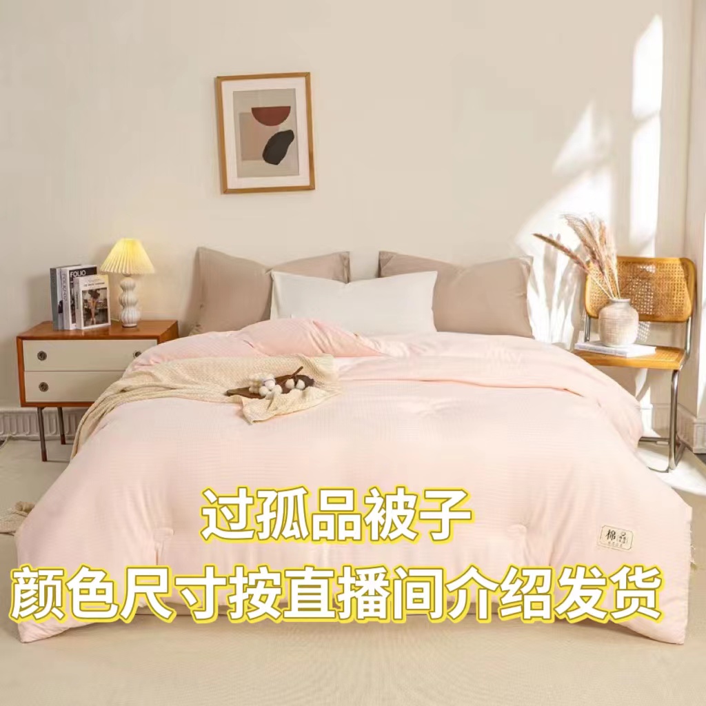 1.5米尺寸[过款按主播介绍下单]被子春秋被冬被加厚双人被芯柔软