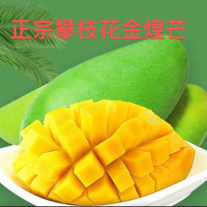 【果本宜专属】正宗攀枝花果农手里的青皮金煌芒3/5/9斤爆甜多汁