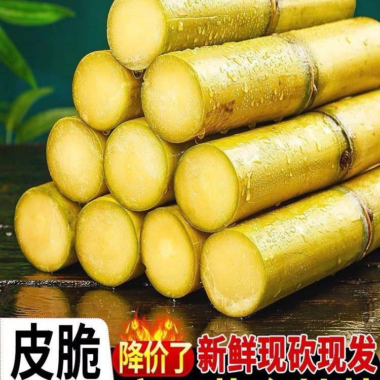 【去头去尾】黄皮甘蔗现砍甜甘蔗新鲜应季孕妇水果薄皮果蔗黄皮手撕杆蔗
