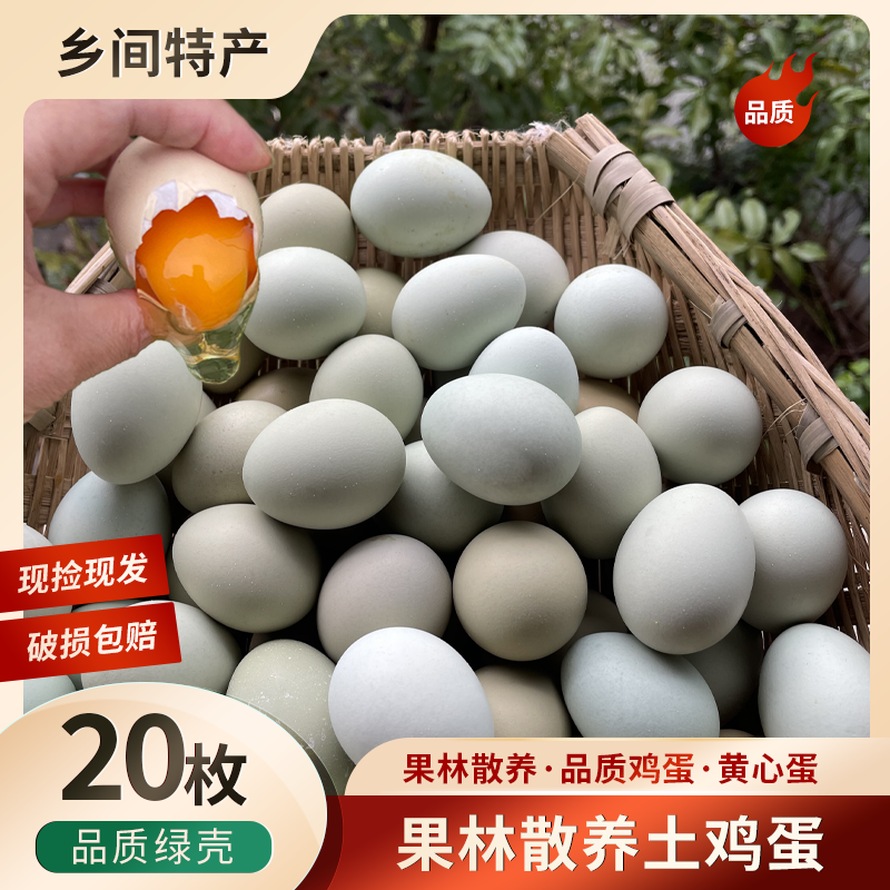 [破损包赔]散养散放绿壳乌鸡蛋新鲜鸡蛋现捡现发农家散养