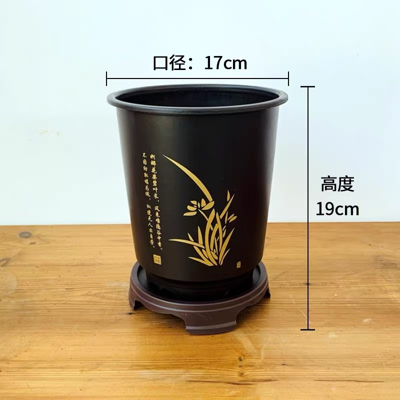 兰花专用树脂盆 通风透气