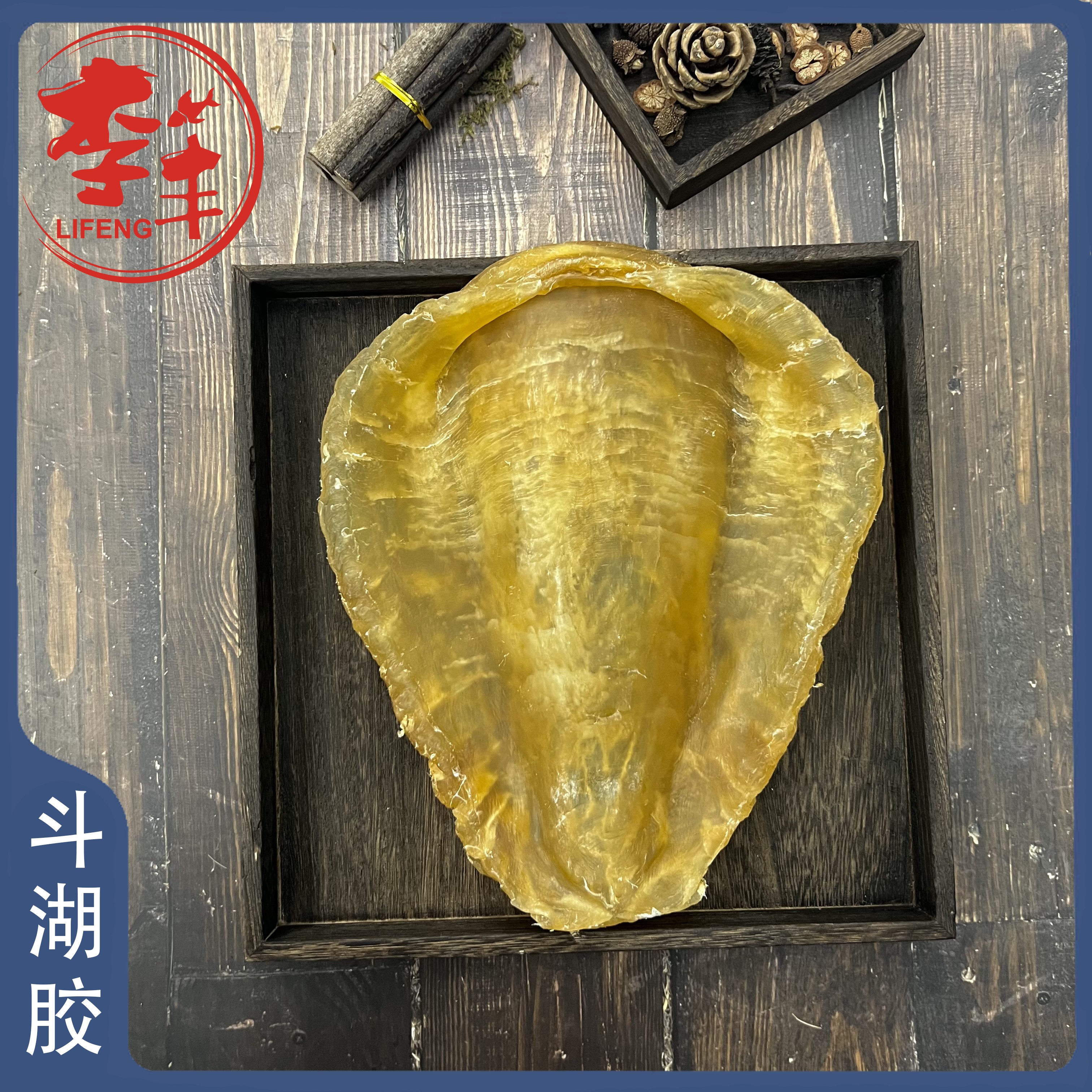 斗湖胶养胃深海鱼野生海味干货花胶原新鲜肉厚鱼肚鱼泡鱼鳔鱼胶