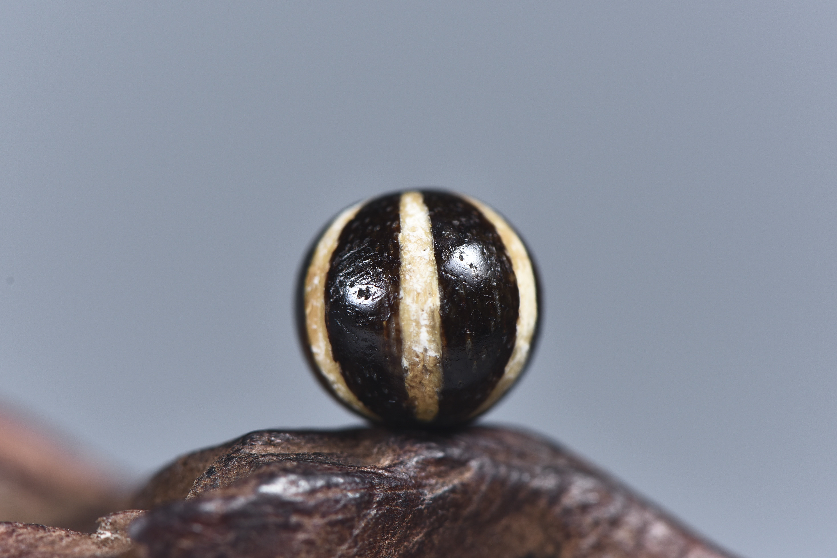 邦提克六线蚀花瓜珠