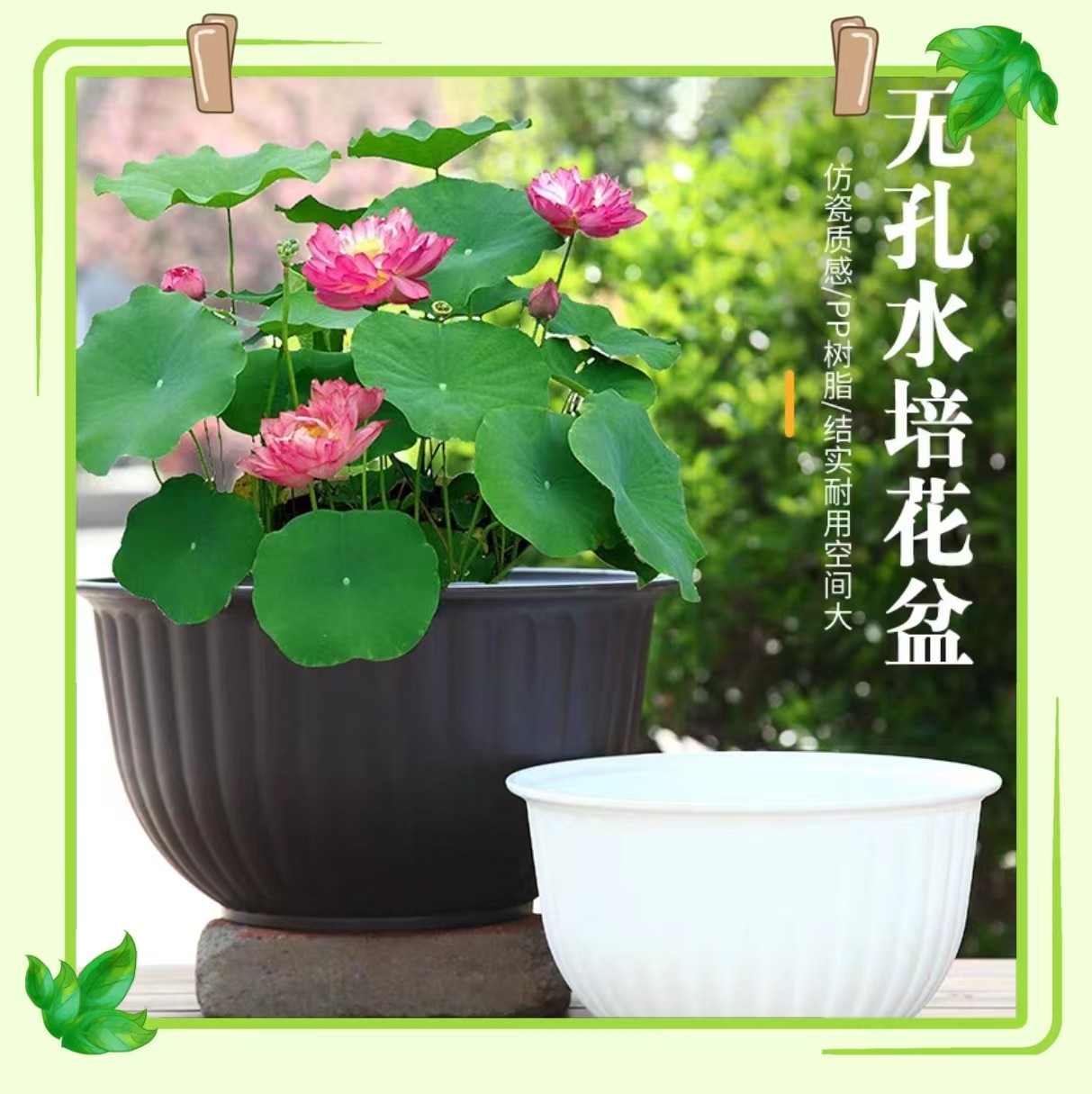 小果汀加厚无孔水培荷花盆铜钱草碗莲睡莲树脂无异味水生植物