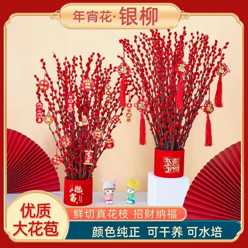 招财银柳真花鲜枝红色福桶年宵花卉耐寒植物干花室内客厅装饰喜庆