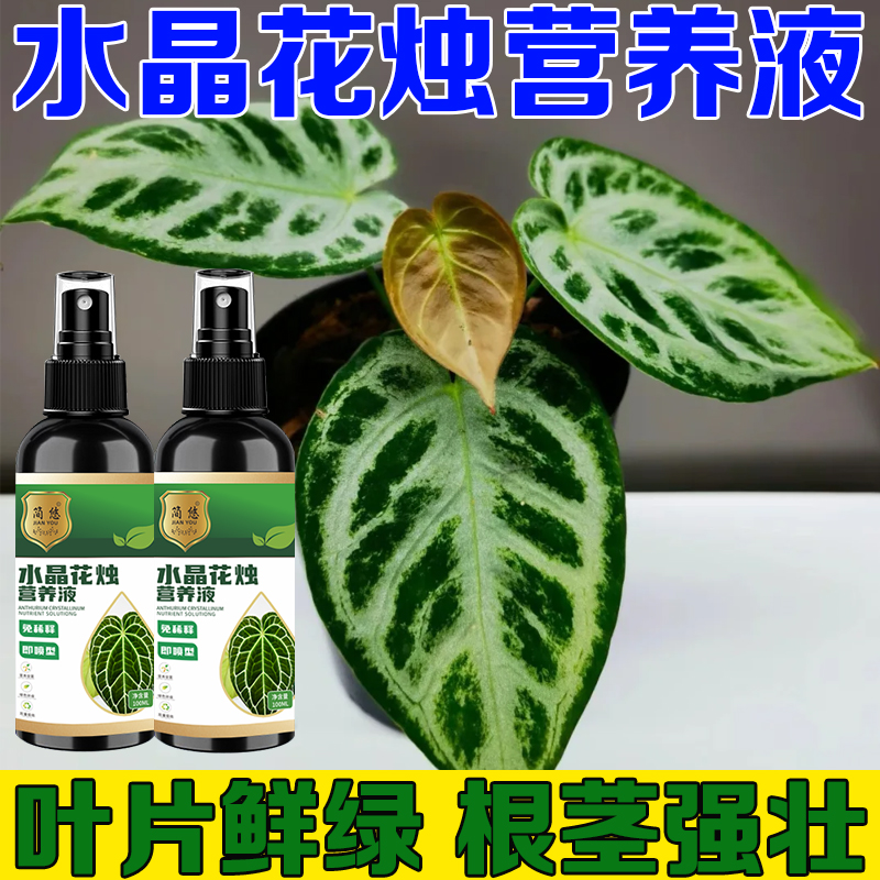 水晶花烛营养液室内通用型宝莲灯花专用肥免稀释农用园艺种花盆景