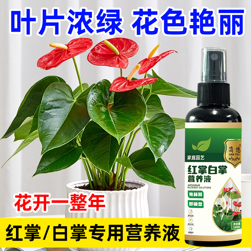 红掌营养液叶绿花红增艳延花期治黄叶枯萎倒伏不开花专用液体肥料