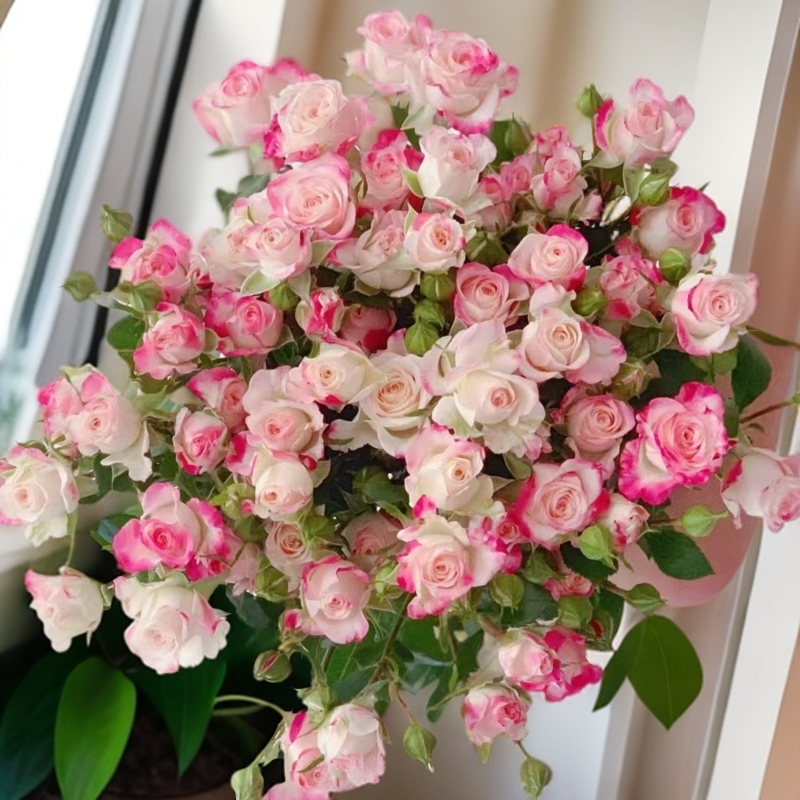 【折射泡泡10枝】鲜花鲜切花好养家庭插花玫瑰