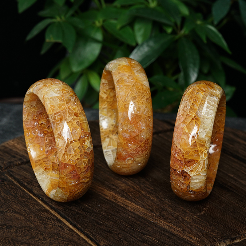 杰仕腾天然珊瑚玉菊花化石稀有万花筒万花之王手镯直播高端好货