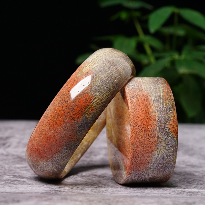 杰仕腾天然珊瑚玉菊花化石稀有料七彩大烟花手镯高贵气质收藏孤品