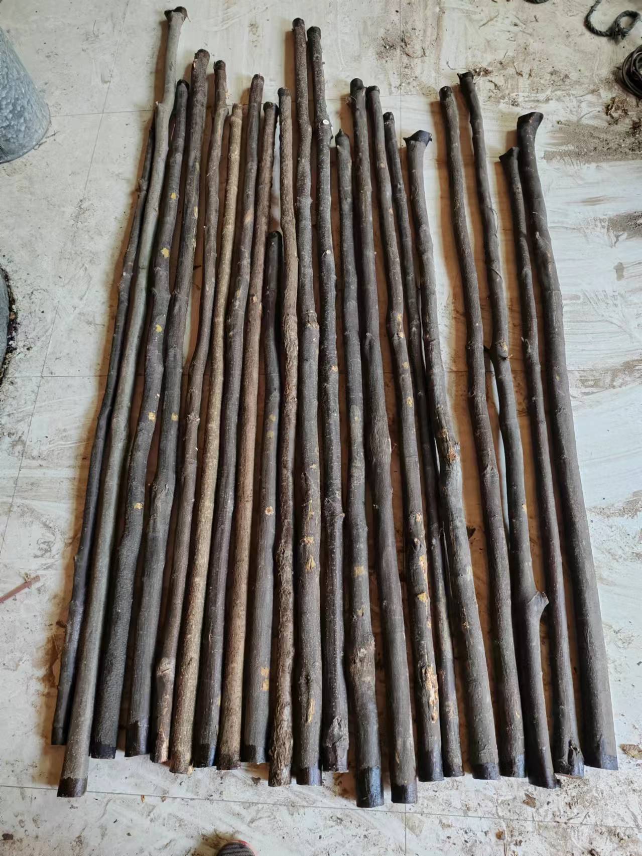 降龙木六道木九道木 精品对节木 野山桃原木