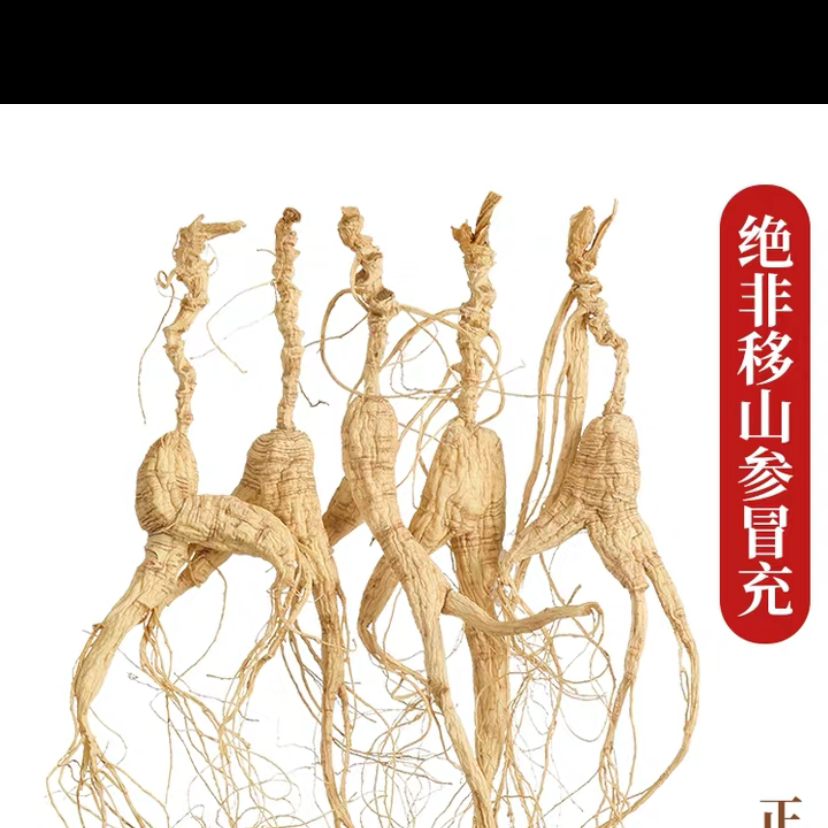 长白山老籽货干参