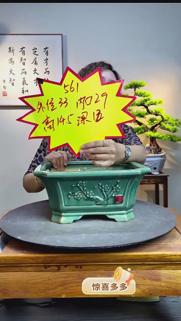 【闪购商品】561绿