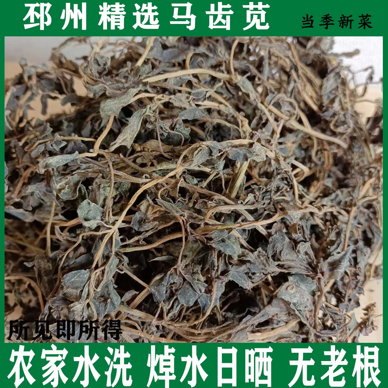 当季新晒优质马齿苋菜干马齿菜干蚂蚱菜蚂仔菜马蜂菜马齿苋菜干