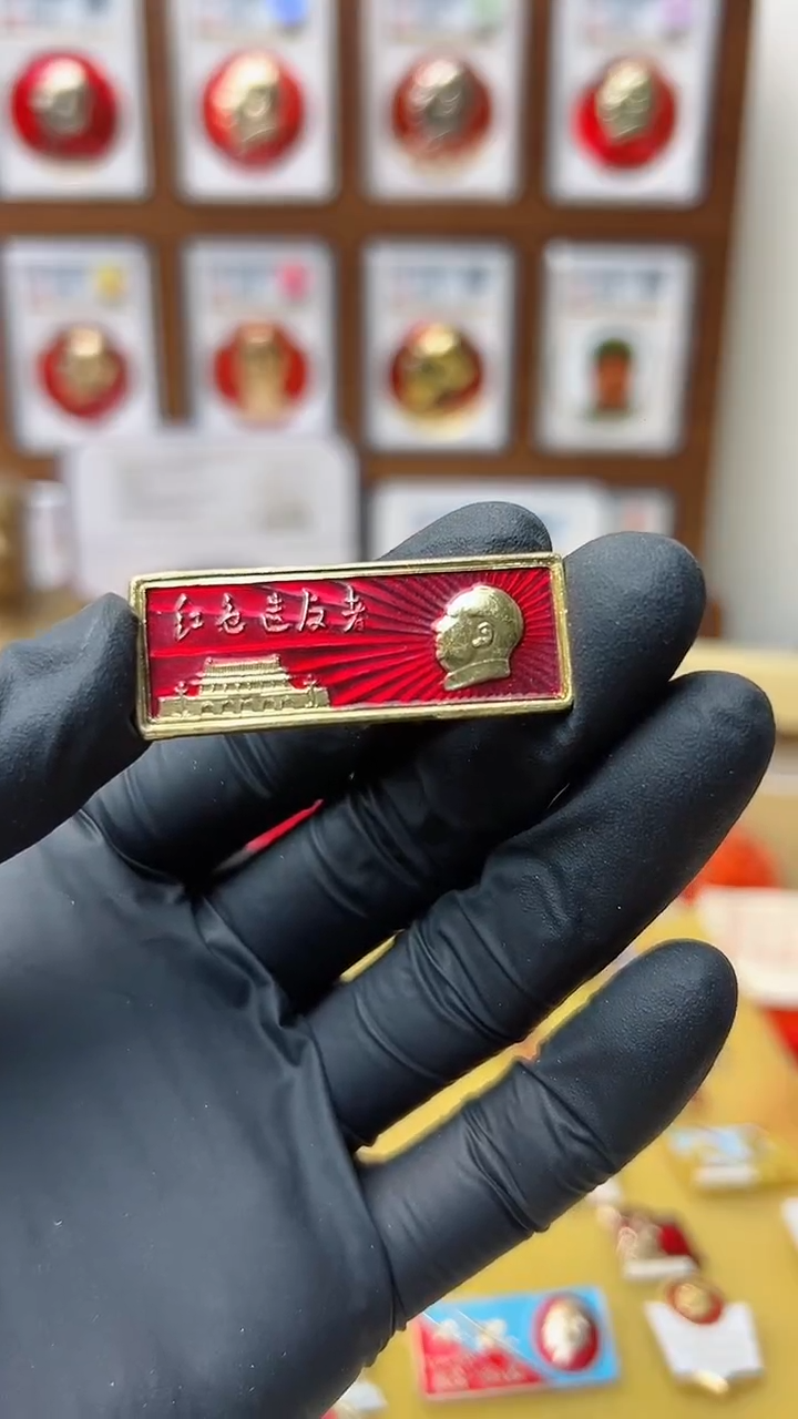 【闪购商品】其他54（派系像章）