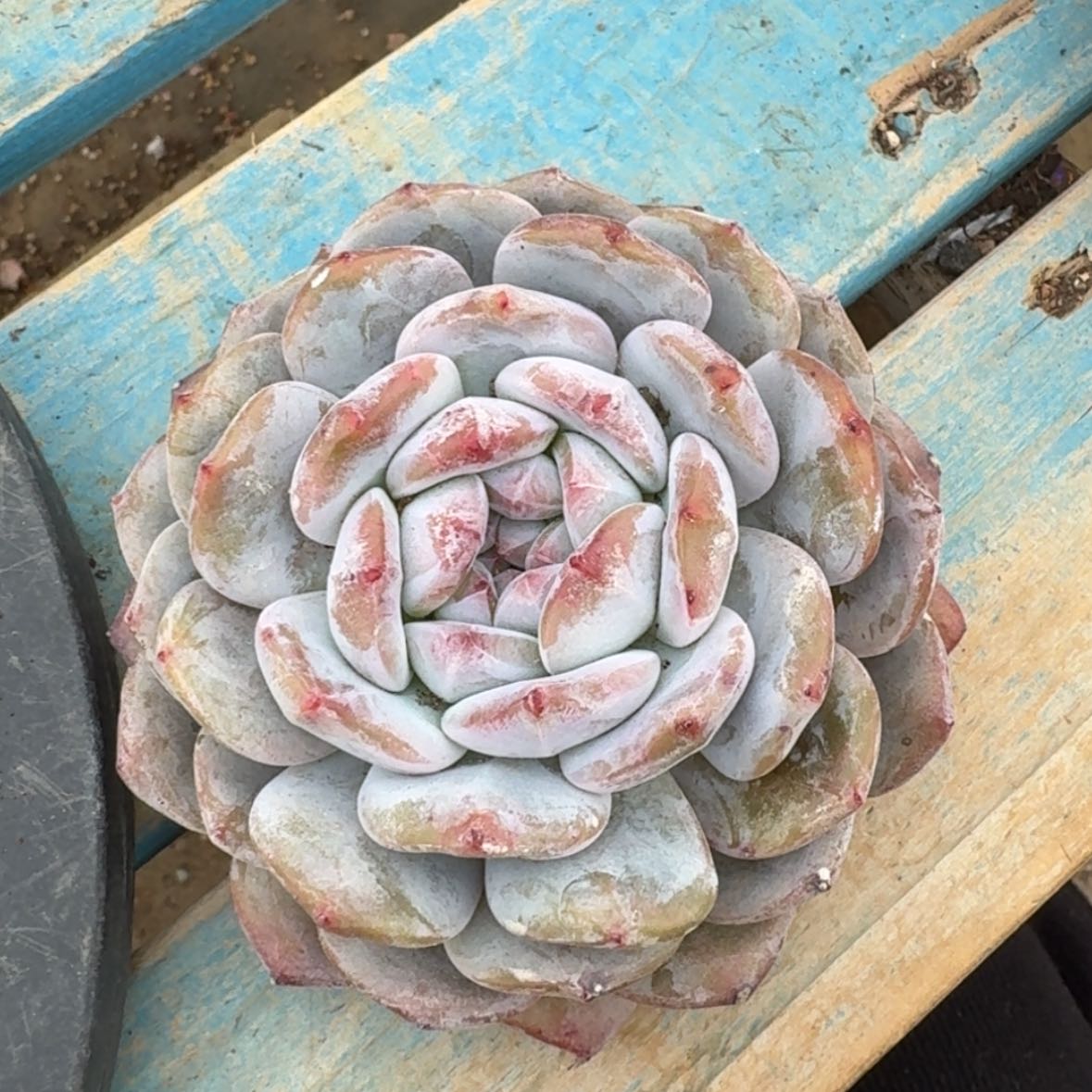 【闪购商品】0*5星影