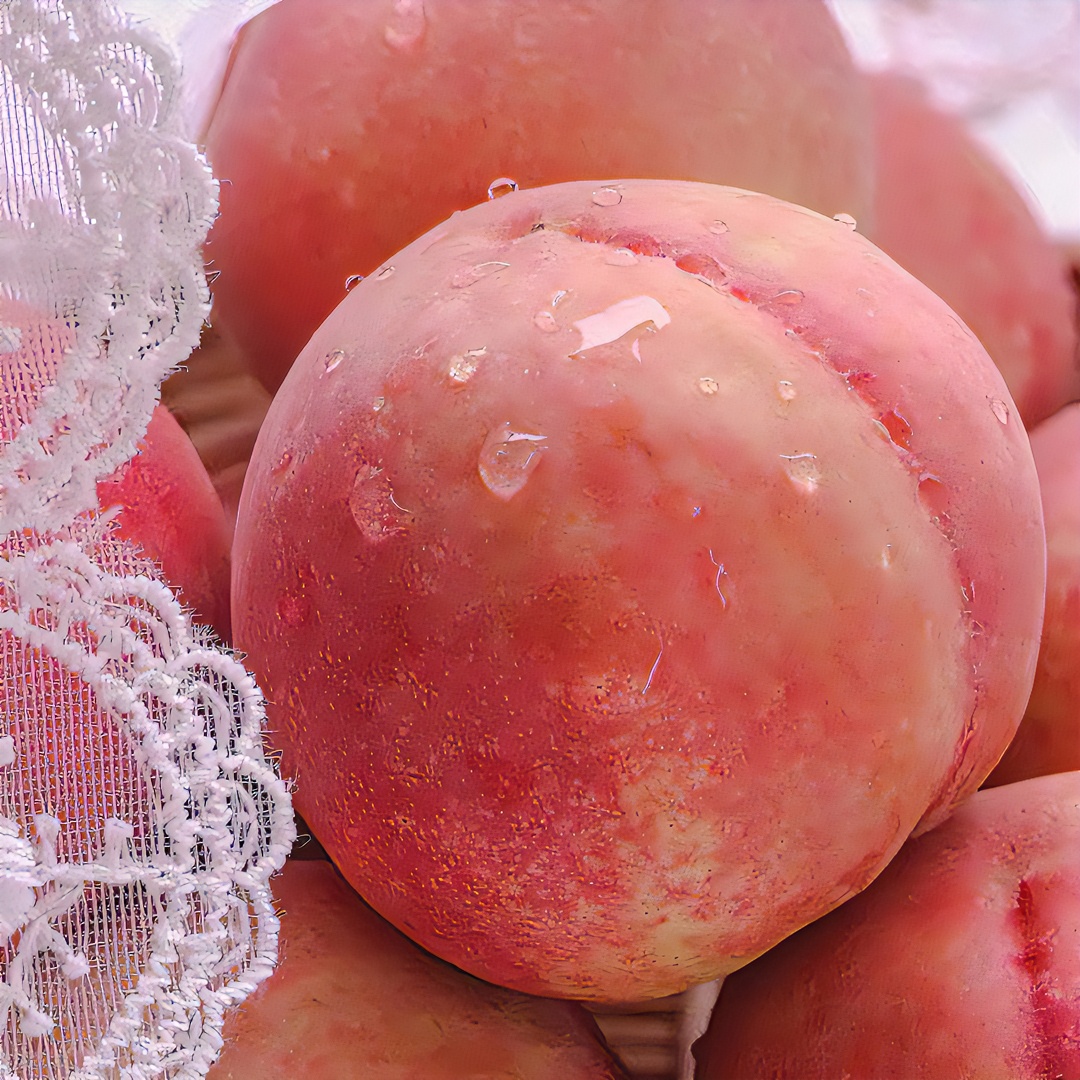 茶果山超甜超脆仙桃（春彩千姬） 现采