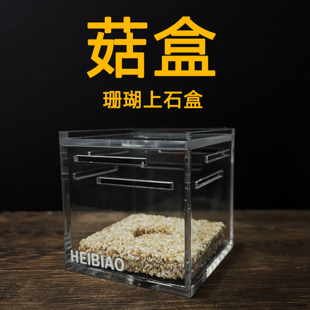 黑鳔菇盒珊瑚上石盒方形亚克力透明透水菇类皮革纽扣繁殖稳定盒