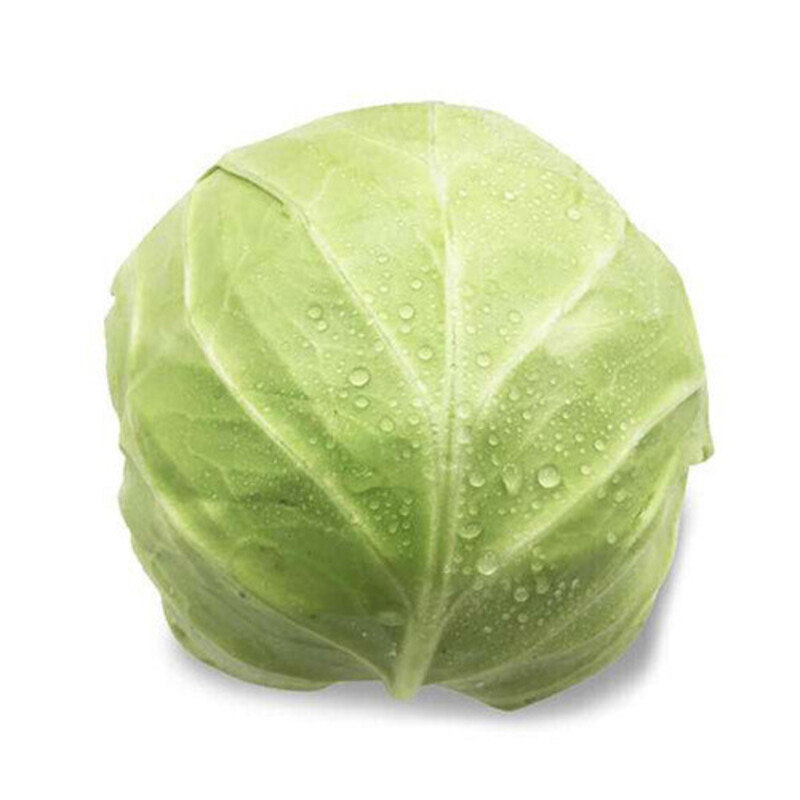 青甘蓝  重约 1200-1500g