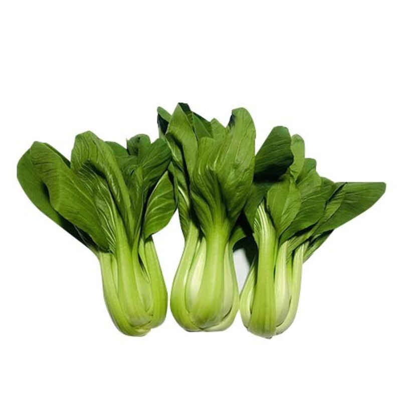 青菜 重约480-500g