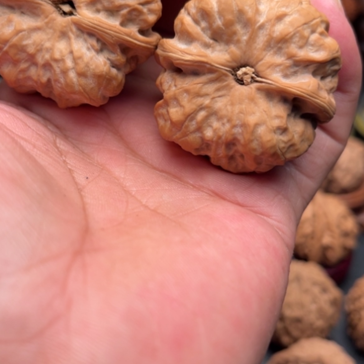 【闪购商品】文玩核桃吊坠满**河