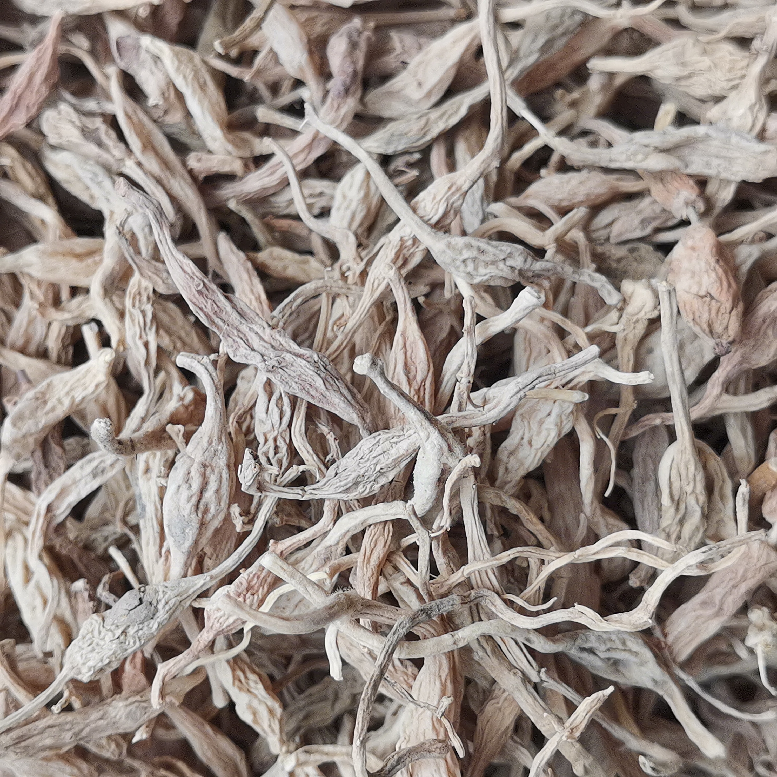 甘肃大山采挖麦冬250g起包邮