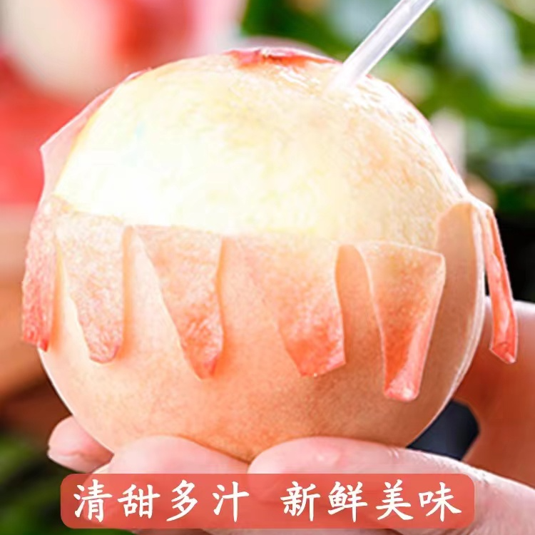 正宗阳山水蜜桃苗壮苗修剪果树苗桃树苗3棵特价苗